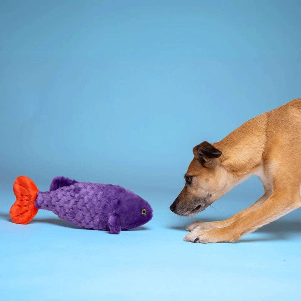 Fluff & Tuff Cici Tropical Fish - Limited-edition!