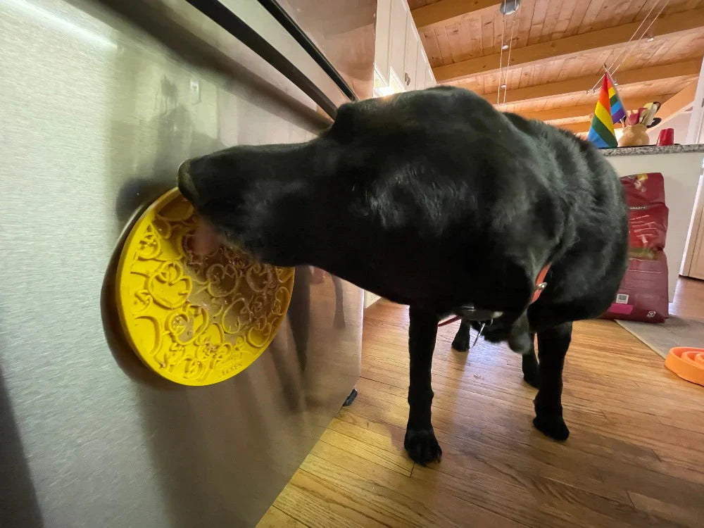 Duckies Enrichment Lick Mat with Suction Cups