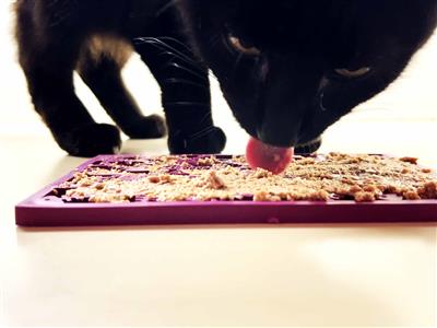Fishy Enrichment Lick Mat